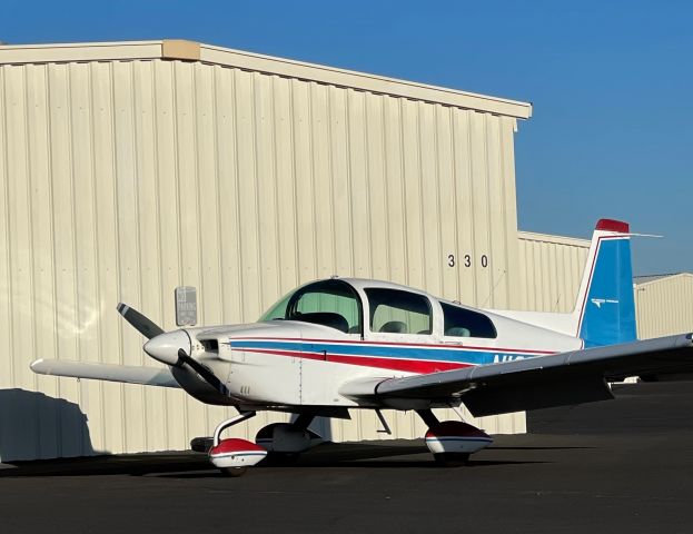 N1317R —