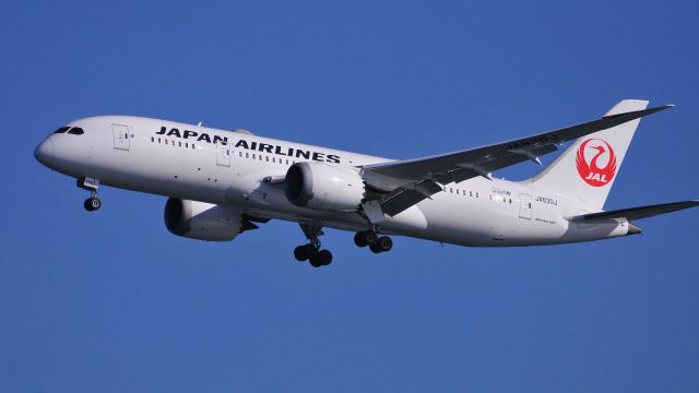 Boeing 787-8 (JA830J)
