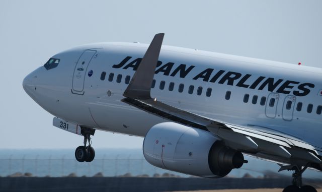 Boeing 737-800 (JA311L)
