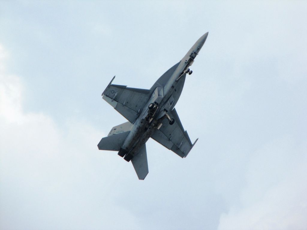 McDonnell Douglas FA-18 Hornet —