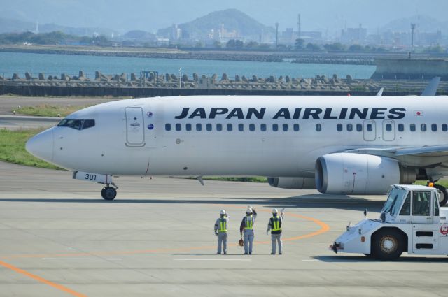 Boeing 737-800 (JA301J)