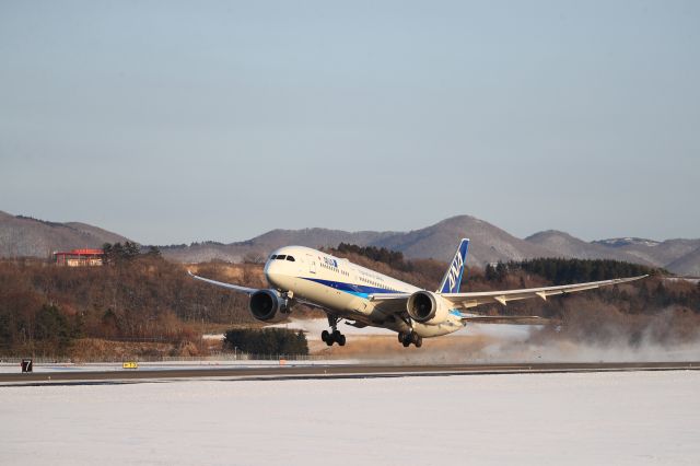 Boeing 787-9 Dreamliner (JA830A) - December 29th 2019:HKD-HND.