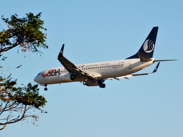 Boeing 737-800 (B-5119)