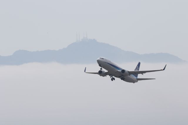 Boeing 737-800 (JA71AN) - 03 May 2015:HKD-NGO.