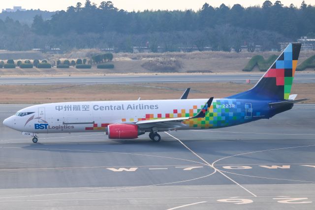 Boeing 737-800 (B-223R)