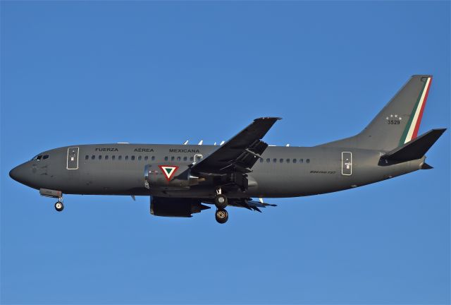 Boeing 737-700 (3529) - Mexican Air Force B737-33A, 502 squadron landing in 05R runway on Mexico City airport.