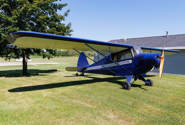 PORTERFIELD CP-65 Collegiate (N27288)