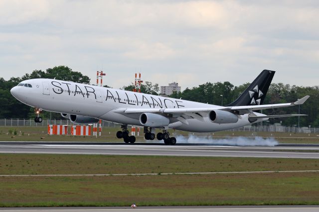 Airbus A340-300 (D-AIFA) - "Star Alliance" livery