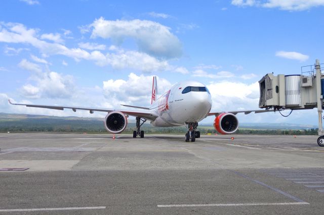 Airbus A330-900 (PK-LEJ) - Lion Air Airbus A330-900 Neo