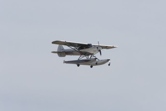 CUB CRAFTERS CC-19 XCub (N800XC)