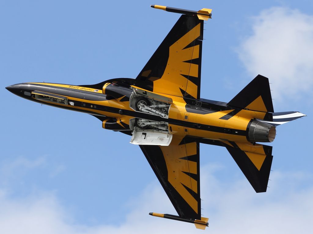 — — - The Korean Golden Eagles T-50B gets airborne at Farnborough 2012.