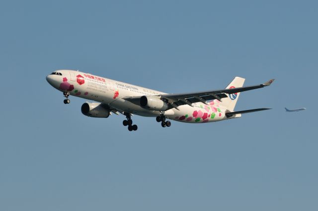 Airbus A330-300 (B-6129) - 2013/1/11