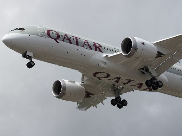 Boeing 787-8 (N10187) - Close up detail of Qatar's first B787-800.