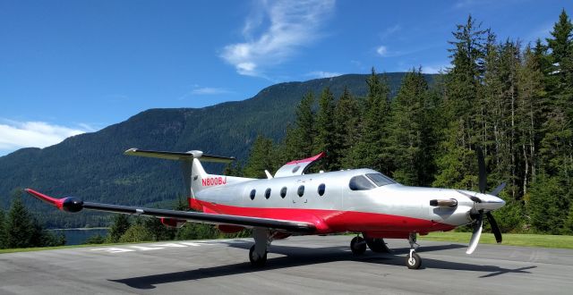 Pilatus PC-12 (N800BJ)