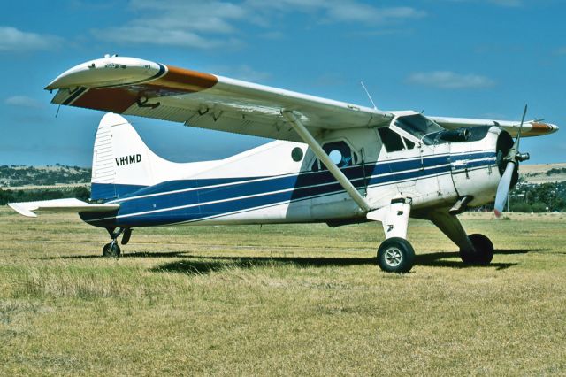 Piper Saratoga/Lance (VH-IMD) - DE HAVILLAND CANADA DHC-2 BEAVER MK1 - REG : VH-IMD ( 1423) - PARAFIELD AIRPORT ADELAIDE SA. AUSTRALIA - YPPF 2/2/1986