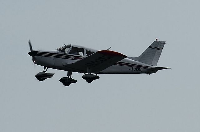 Piper Cherokee (JA3650)