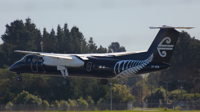 de Havilland Dash 8-300 (ZK-NEM)