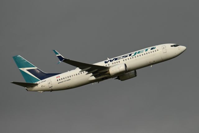 Boeing 737-800 (C-FRWA)