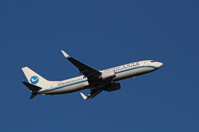 Boeing 737-800 (B-5161)