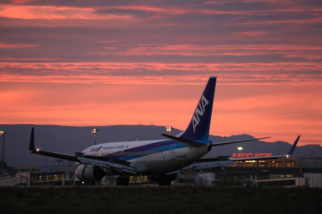 Boeing 737-700 (JA06AN) - September 9th 2019:NGO-HKD.