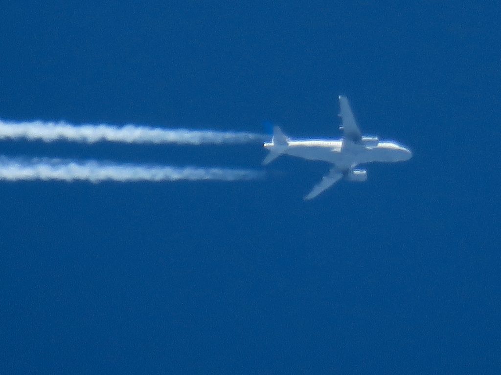 Airbus A319 (N894UA)