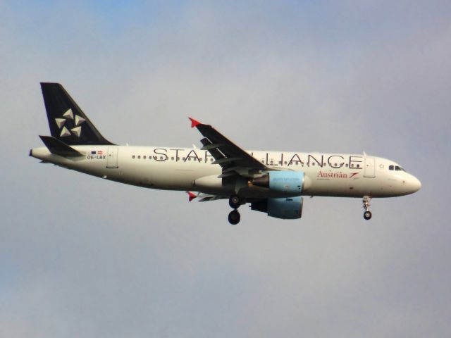 Airbus A320 (OE-LBX)