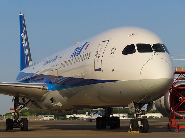 BOEING 787-10 Dreamliner (JA901A) - I took this picture on May 04, 2021.