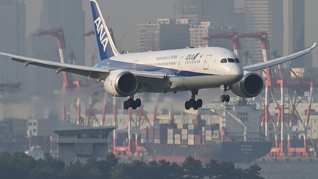 Boeing 787-8 (JA810A) - 06.Sep.2024br /Boeing 787-8 (JA810A) on final approach to RWY 16(C).