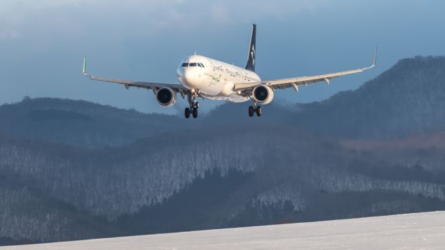 Airbus A321 (B-16206)