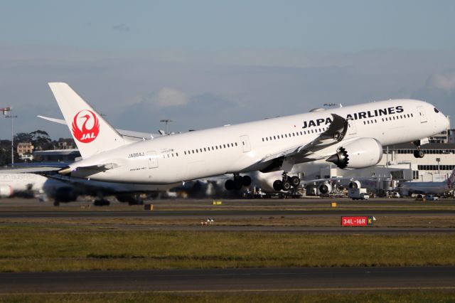 Boeing 787-9 Dreamliner (JA864J) - on 9 August 2019