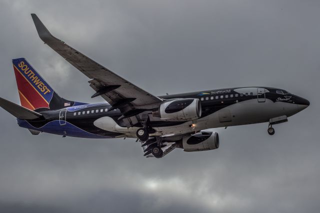 Boeing 737-700 (N715SW) - Southwest 737 Sea world livery. Taken November 2014.