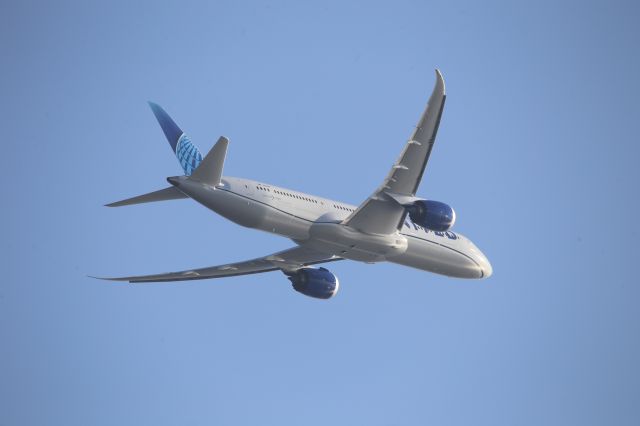 Boeing 787-9 Dreamliner (N29981)