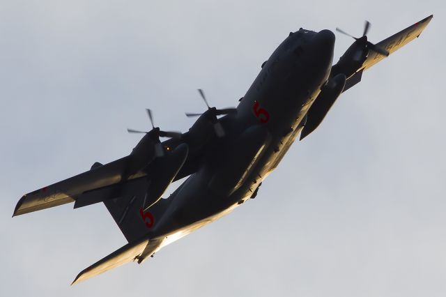 Lockheed C-130 Hercules (N47321) - This C-130 joined other fire-fighting aircraft in aerial support for the Black Forest Fire just north of Colorado Springs