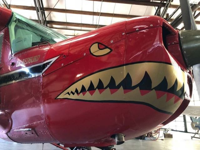 Cessna Commuter (N18173) - the birth of Lil' Red