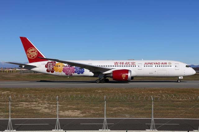 Boeing 787-8 (B-209R)