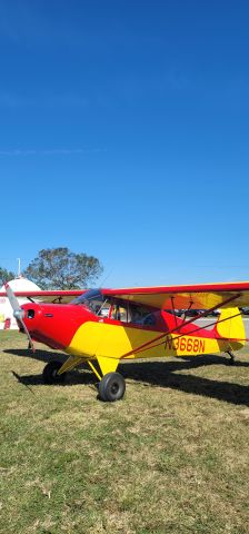 Piper PA-12 Super Cruiser (N3668N)