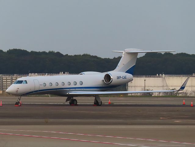 Gulfstream Aerospace Gulfstream V (VP-CAE) - Photo taken on Nov 09, 2023.