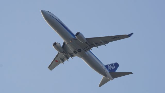 Boeing 737-700 (JA71AN)