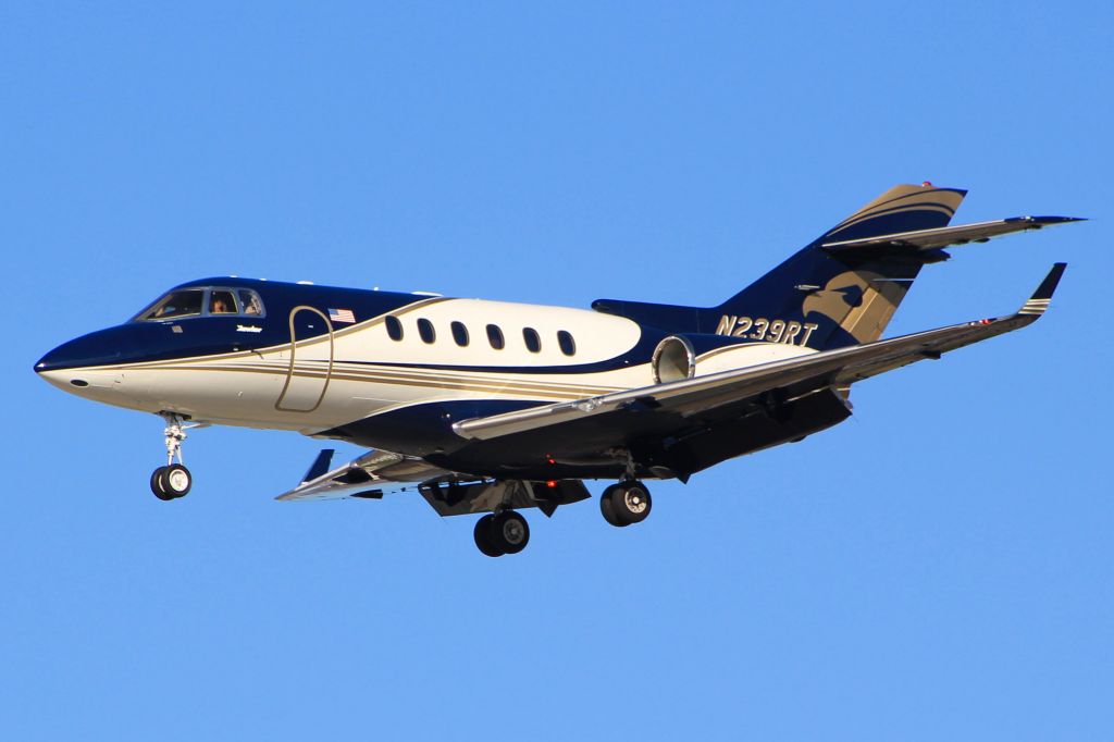 Hawker 800 (N239RT)