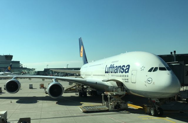 Airbus A380-800 (D-AIMB)