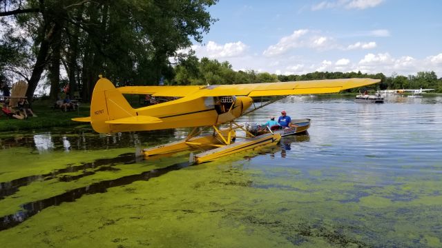 Piper L-21 Super Cub (N276T)