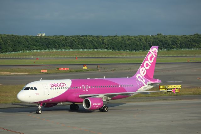 Airbus A320 (JA801P)