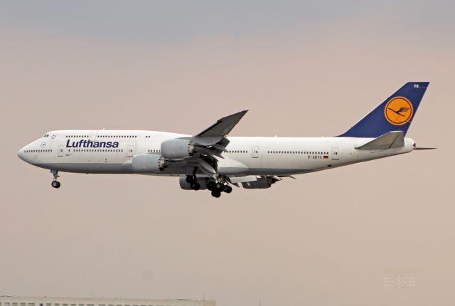 BOEING 747-8 (D-ABYS) - Lufthansa / Boeing 747-830 / MSN 37843 / D-ABYS / MMMX 04/2023