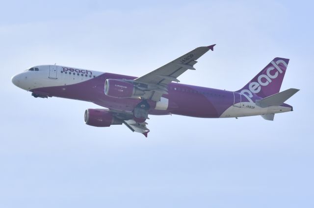 Airbus A320 (JA813P)