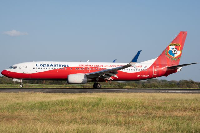 Boeing 737-700 (HP-1534CMP) - Fotografía tomada durante el Open Day 2020