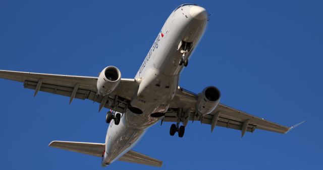 EMBRAER 175 (long wing) (N203NN) - Arriving ....