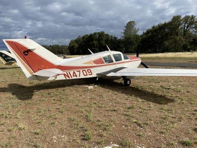 BELLANCA Viking (N14709) - 2022 West Coast Bellanca Fly-In Columbia CA