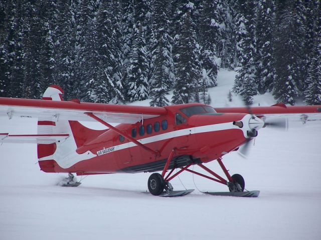 De Havilland Canada DHC-3 Otter (C-FODT)