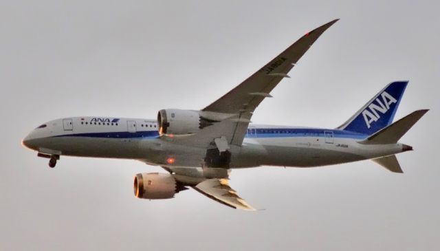 Boeing 787-8 (JA801A) - Lowering gear at Sunset