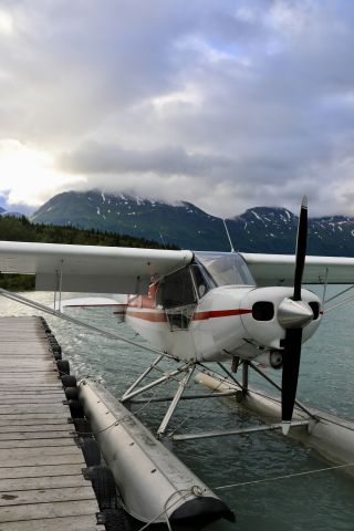 Piper L-21 Super Cub (N5767D) - On dock, looking northwest bound